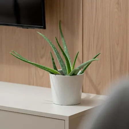 Sage By Kramm Poznan