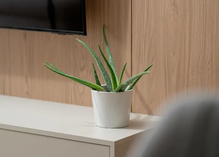 Sage By Kramm Poznan